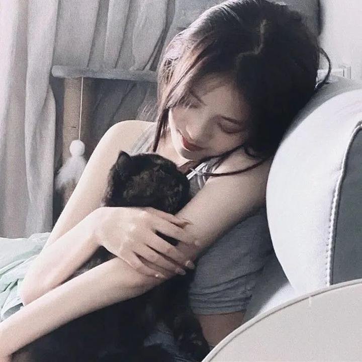 朝鲜名侦探:吸血怪魔的秘密